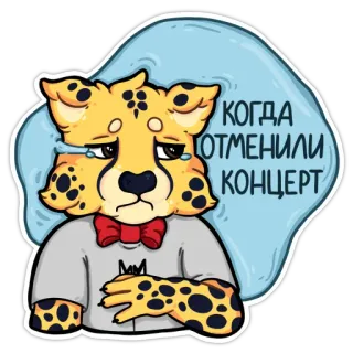 😿 КОГДА ОТМЕНИЛИ КОНЦЕРТ ghepardo, triste, piangendo, animale, cartone animato, adesivo, concerto, cancellato, mammifero telegram sticker