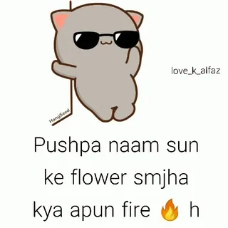 🤯 Pushpa naam sun ke flower smjha kya apun fire 🔥 h 만화, 고양이, 선글라스, 불, 힌디어 인용구, Pushpa whatsapp sticker