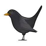 🐦⬛️