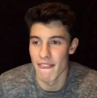 😛 Shawn Mendes shawn mendes, singer, celebrity, musician, portrait telegram sticker