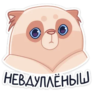 🤔 НЕВДУПЛЁНЫЙ gato, fofo, adesivo, russo, expressão, desenho animado telegram sticker