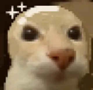 👨‍🦲 Katze, Glitzer, süß, Tier telegram sticker