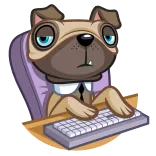👨‍💻 carlin, chien, animal, clavier, travail, dessin animé, bureau telegram sticker