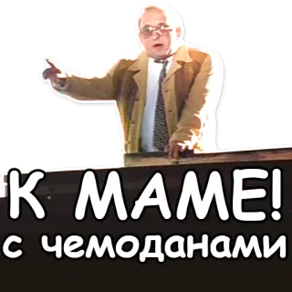 👋 К МАМЕ! с чемоданами telegram sticker