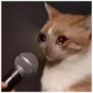 😢 kucing, sedih, mikrofon, menangis, meme telegram sticker