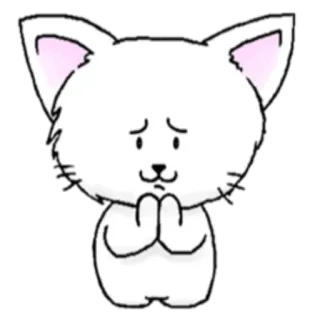 🙏 chat, mignon, suppliant, implorer, kawaii, dessin animé telegram sticker
