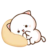 😭 gatto, carino, assonnato, adorabile, gattino, animale telegram sticker