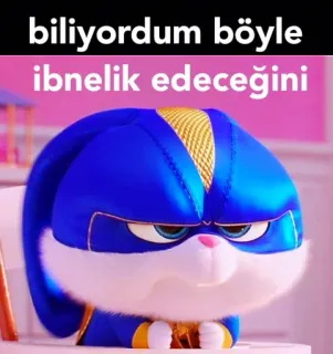 🙄 biliyordum böyle ibnelik edeceğini 모욕, 불쾌감, 만화, 토끼 whatsapp sticker