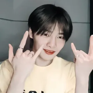 🦊 homme, K-pop, asiatique, portrait, personne, masculin, beauté whatsapp sticker