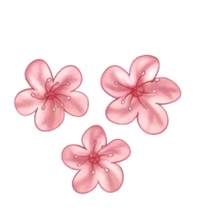 🌸 цветок, цветение, розовый, цветочный, цветы вишни, природа telegram sticker