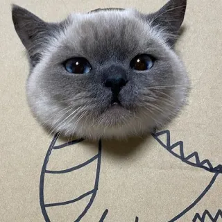 🐱 kot, zwierzę domowe, zwierzę, rysunek, dinozaur telegram sticker