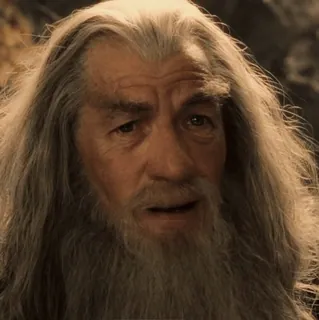 💍 Gandalf The Lord of the Rings Gandalf, mago, fantasia, Terra Média, velho, barba, senhor dos anéis whatsapp sticker