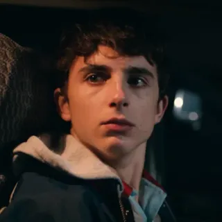 😶 Timothée Chalamet актер, портрет, знаменитость, мужчина whatsapp sticker