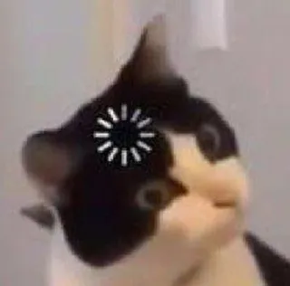 😳 Katze, laden, Meme, Internet, lustig, Tier, süß whatsapp sticker