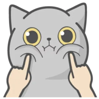 😘 gato, fofo, engraçado, meme, adesivo, animal telegram sticker