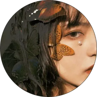 🧺 portrait, personne, papillon, beauté, visage, oeil, maquillage telegram sticker
