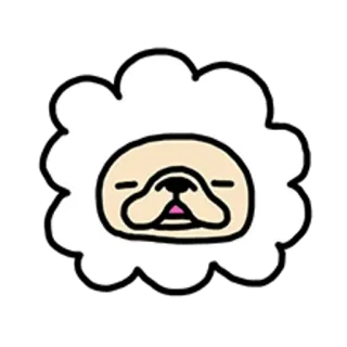 🐶 Cartone animato, Animale, Foca, Carino, Personaggio, Divertente telegram sticker