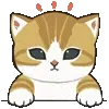 🐱