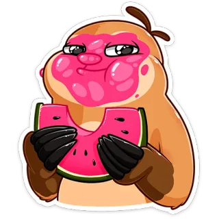 🍉 kukang, semangka, binatang, imut, kartun, stiker telegram sticker