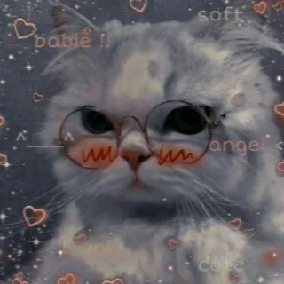 ✨ babie!!, soft, angel, cute gato, óculos, fofo, kawaii, corações, animal de estimação, animal, fofo telegram sticker