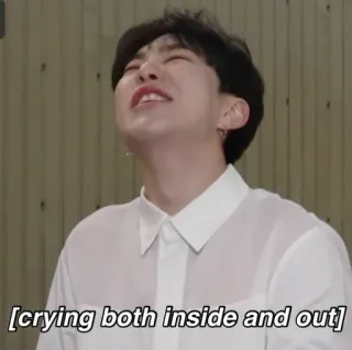 🐯 crying both inside and out llorando, triste, expresión, emoción, meme telegram sticker