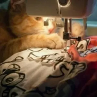 😌 cat, sewing, machine, animal, domestic, craft telegram sticker