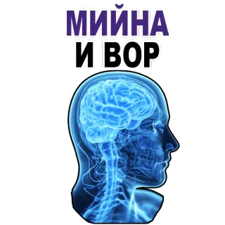 😉 МIЙНА
ИВОР brain, mind, thinking, anatomy, head telegram sticker