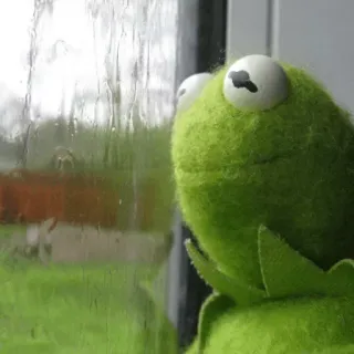 😐 Kermit Kermit the Frog, frog, puppet, muppet, meme, rain, window, sad, gloomy telegram sticker