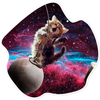 🤠 แมว, ลูกแมว, อวกาศ, ดาวเคราะห์, กาแล็กซี, แกว่ง, น่ารัก telegram sticker
