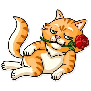 🌹 gato, rosa, animal, adesivo, gato laranja malhado, romance, amor telegram sticker