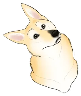 ❓ anjing, lucu, hewan, potret, ilustrasi telegram sticker