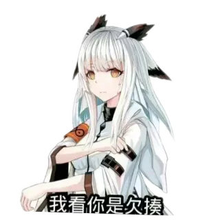狸花毛 whatsapp stickers