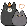 🐈⬛