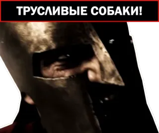🐕 ТРУСЛИВЫЕ СОБАКИ! insulte, spartiate, guerrier, casque, chiens telegram sticker