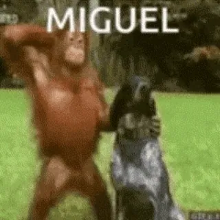 🐶 MIGUEL 猩猩, 狗, 动物, 表情包, 搞笑, 幽默 telegram sticker