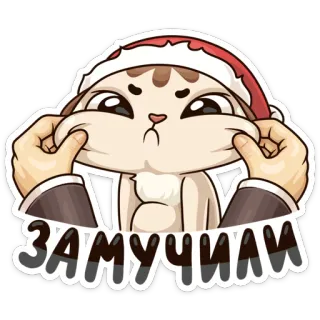 😠 ЗАМУЧАЛИ gato, adesivo, irritado, gorro de Papai Noel, desenho animado, engraçado telegram sticker