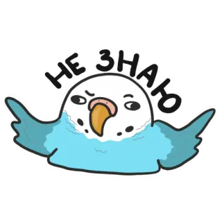 🤔 НЕ ЗНАЮ 鸟, 鹦鹉, 困惑, 不知道, 俄语, 问题, 表情 telegram sticker