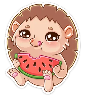 🍉 hedgehog, animal, watermelon, cute, kawaii, cartoon whatsapp sticker
