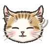 🐱