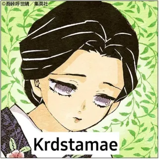 🤗 Krdstamae whatsapp sticker