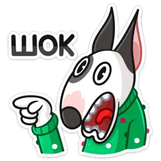 😳 ШОК собака, бультерьер, шок, выражение, мультфильм, стикер telegram sticker