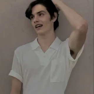 🍷 retrato, joven, polo, casual, interior, hombre telegram sticker