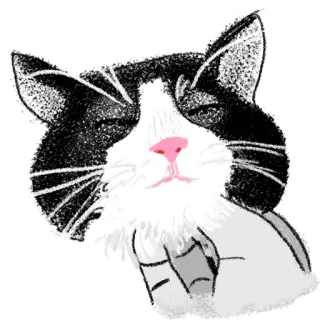 ☺️ gatto, gattino, animale domestico, animale, carino, bianco e nero, animale da compagnia telegram sticker