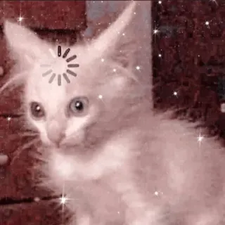 🐱 고양이, 새끼 고양이, 로딩 중, 귀여운, 동물, 반짝이 telegram sticker