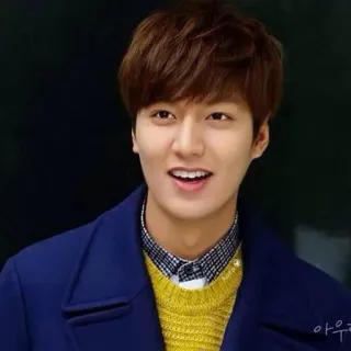 😁 Lee Min-ho 한국 배우, 연예인, 배우, 한국 드라마, K팝 telegram sticker