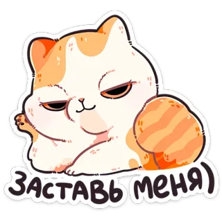 😏 Заставь меня) gatto, carino, divertente, animale, adesivo, arancione, bianco telegram sticker