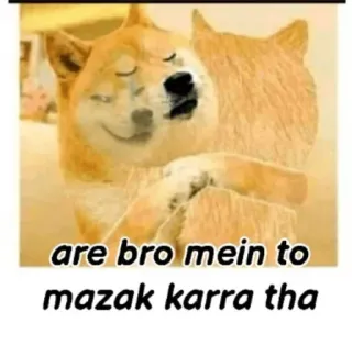 😂 are bro mein to mazak karra tha doge, meme, trò đùa, hài hước, chó telegram sticker