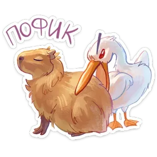 🫤 ПОФИК капибара, утка, мультфильм, животные, наклейка, милый telegram sticker