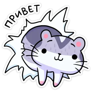 👋 ПРИВЕТ 猫, かわいい, 挨拶, ロシア語, 動物, 漫画 telegram sticker