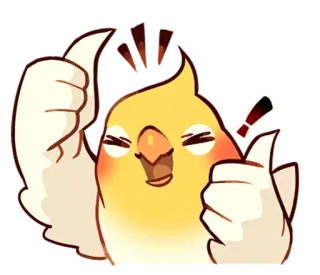 ‼️ pássaro, calopsita, animal, joinha, fofo, positivo, aprovação telegram sticker